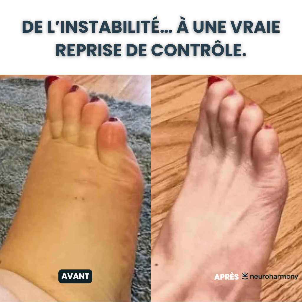 Neuroharmony – Retrouvez le confort nerveux au quotidien, naturellement